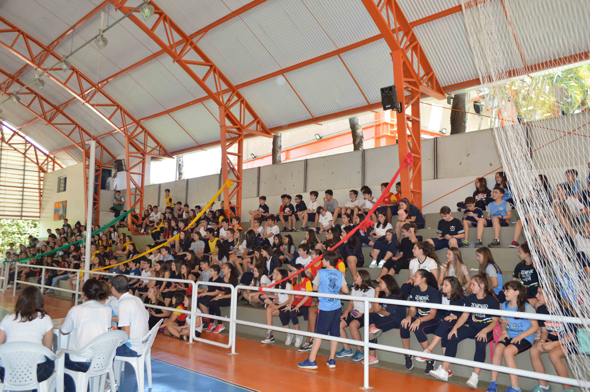 Galeria 1